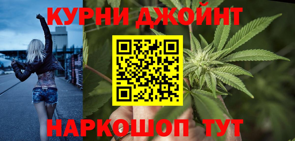 Конопля сатива  Бошки Шишки OG Kush  Вход с VPN  Луга 